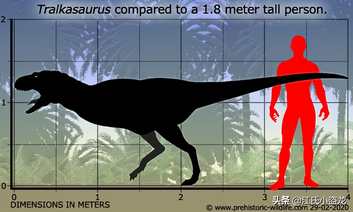 古生物时代有多少种恐龙,人类已经发现了多少恐龙种类