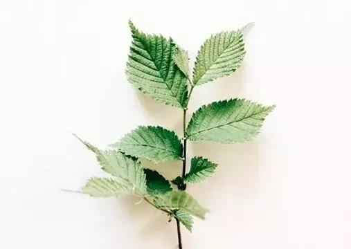 目前最好的十大美妆护肤品,大牌好用的美妆护肤品推荐