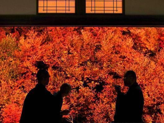 我国曾经称霸世界的茶生意是如何衰败下来的？你别不信，就两字