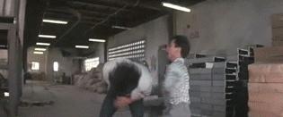 第三十二届香港电影金像奖成龙,香港金像奖不颁给成龙不遗憾吗