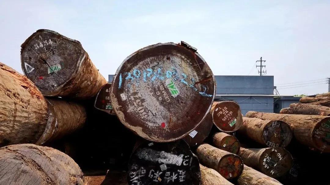 木皮染色材料视频,常见天然木皮