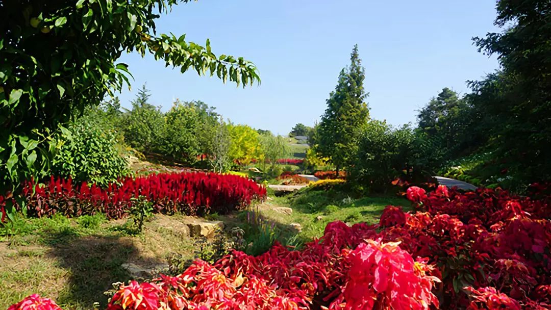 大连九月旅游攻略大全,大连11月旅游的最佳地方