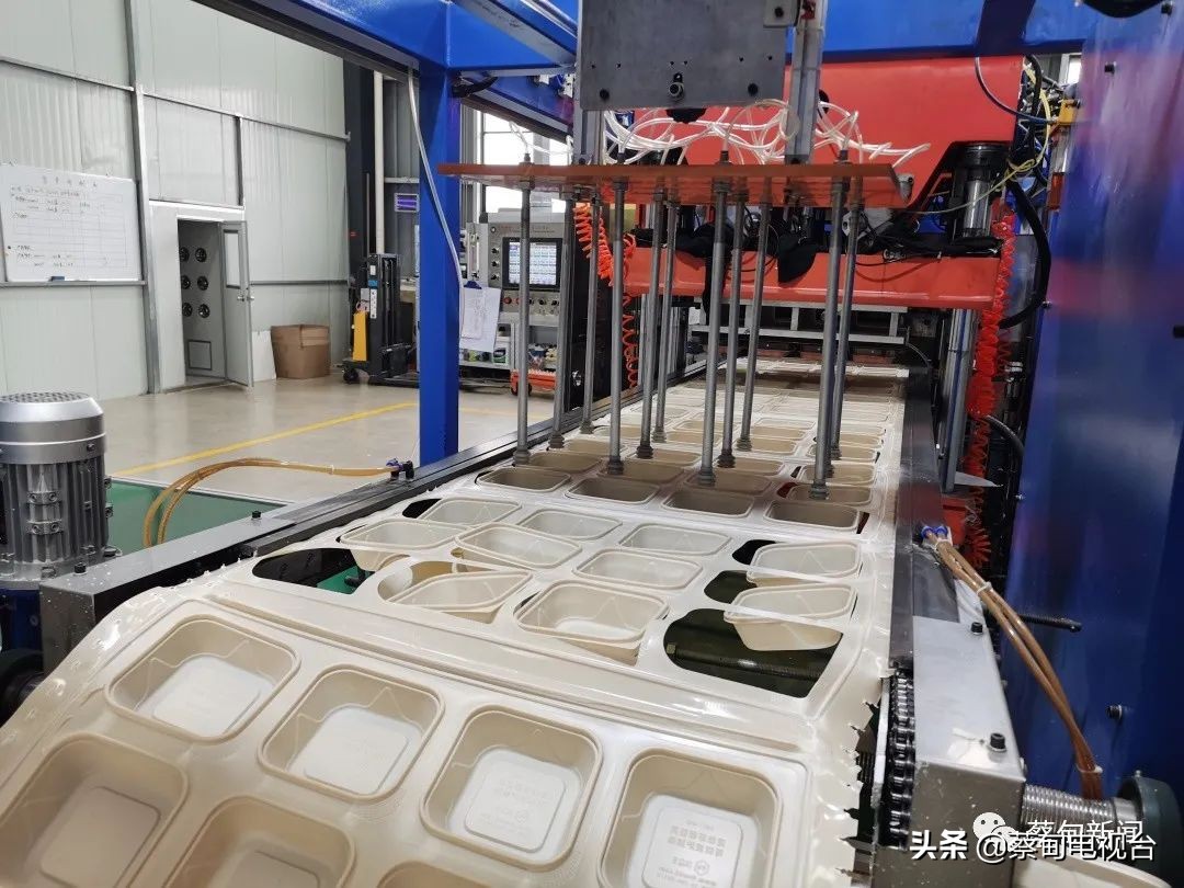 可降解玉米环保餐具,广州玉米淀粉可降解餐具