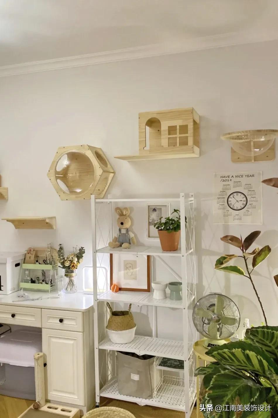 没有阳台的房子养宠物怎么装修,家里养宠物该怎么装修