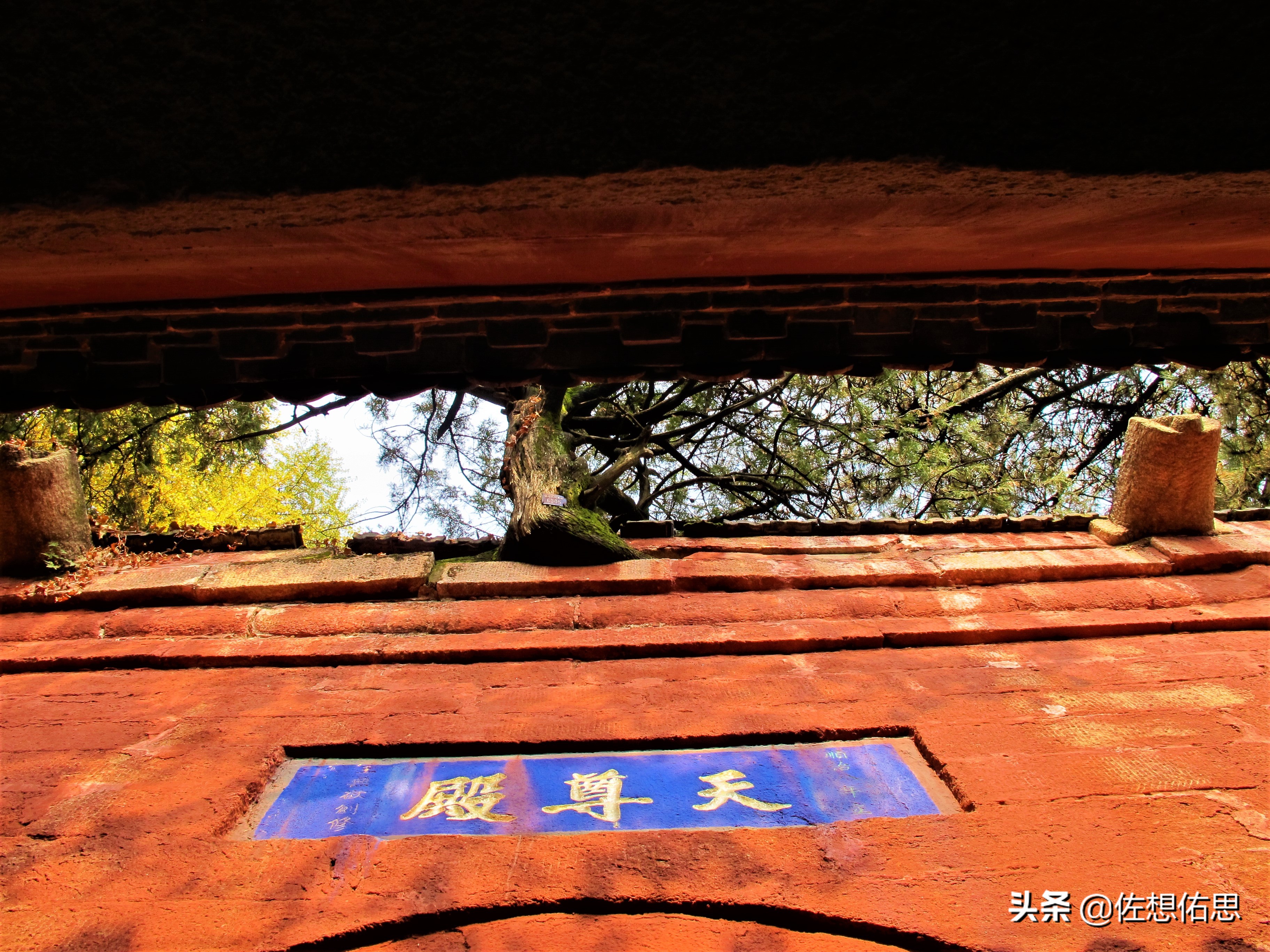 扇子崖优惠,泰安扇子崖免门票吗