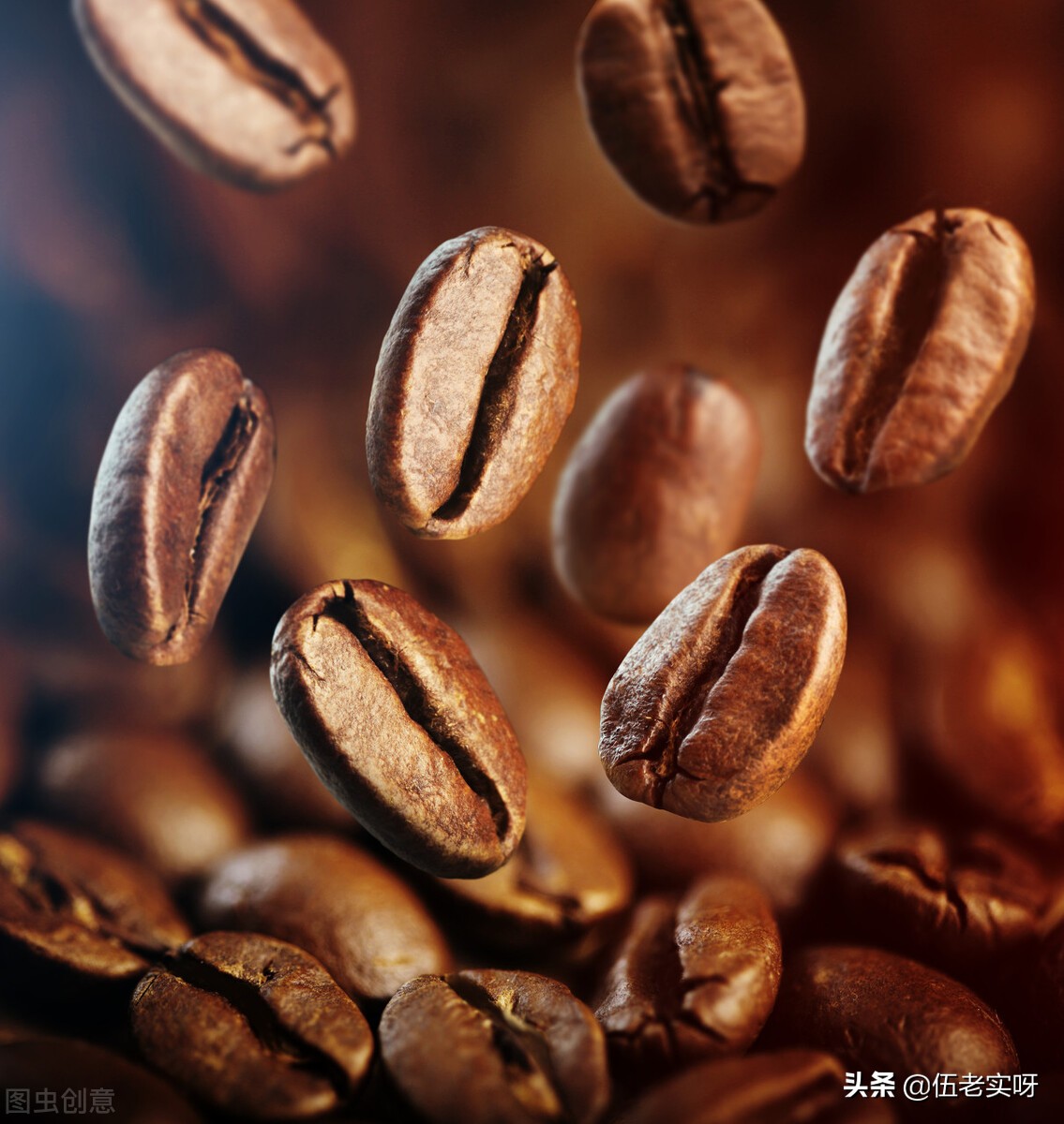 猫屎咖啡深度解释,猫屎咖啡介绍一下