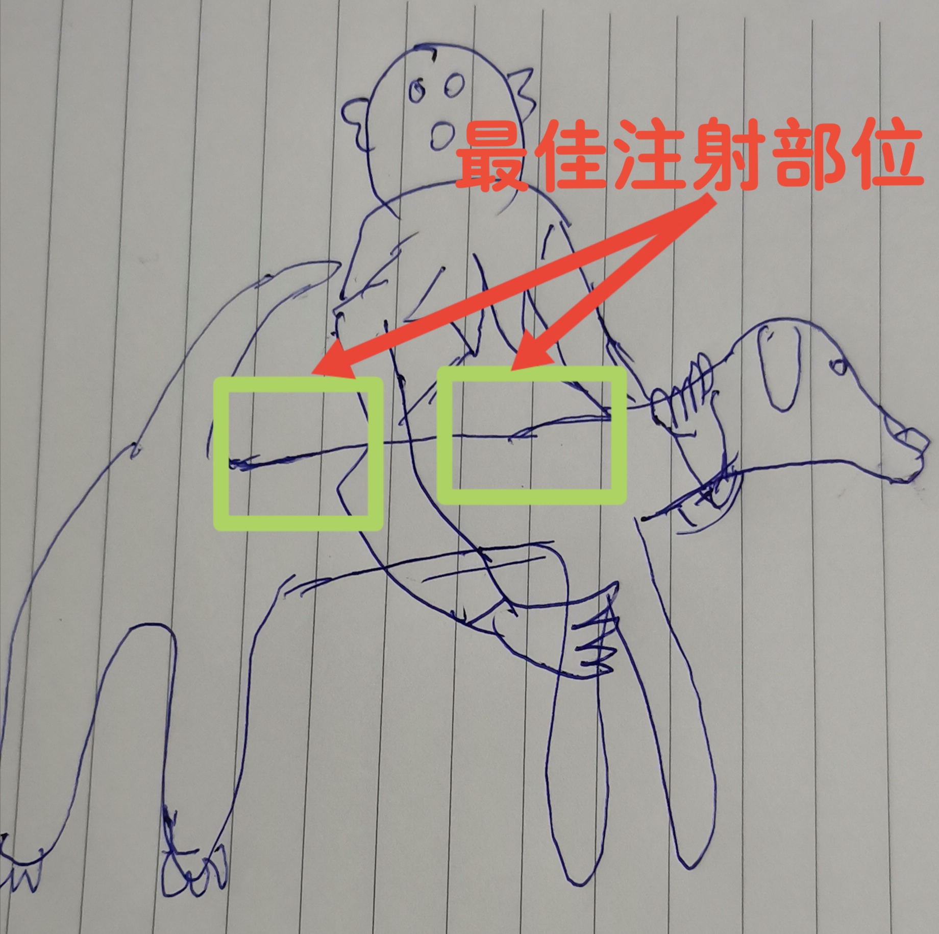 狗狗打针打什么针比较好,给狗狗打针狗狗知道是在治病吗