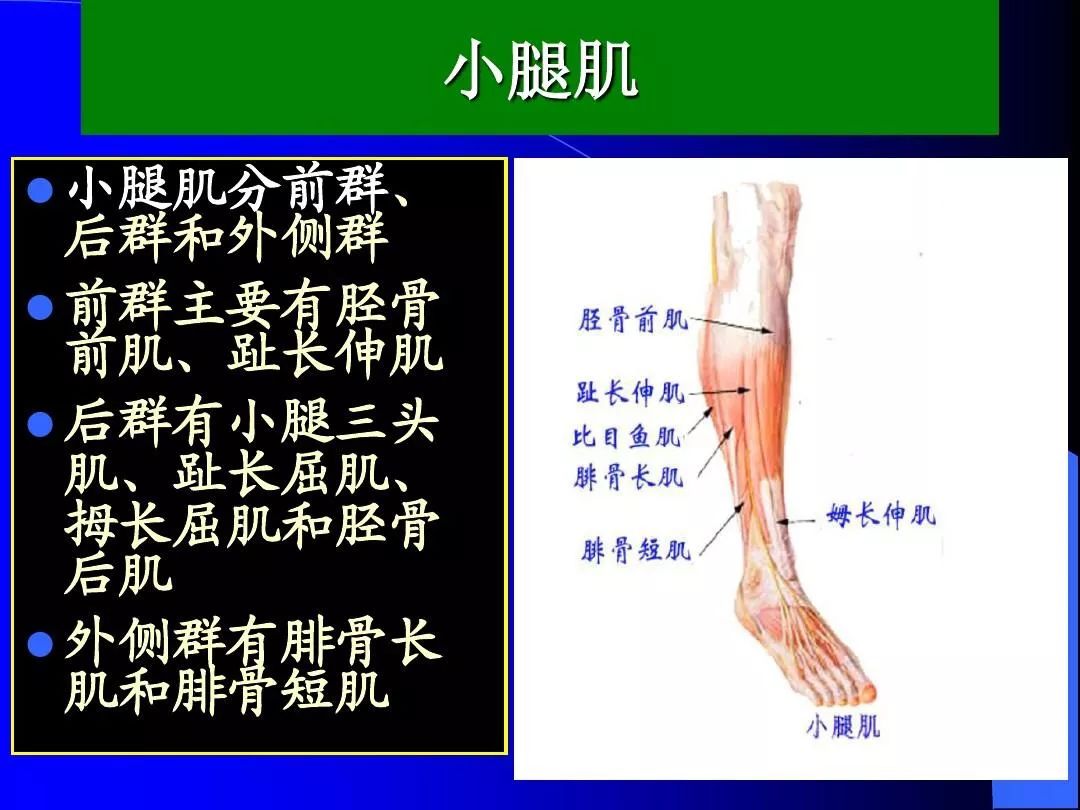 伤害了1/3跑者的夹胫痛，请务必重视起来