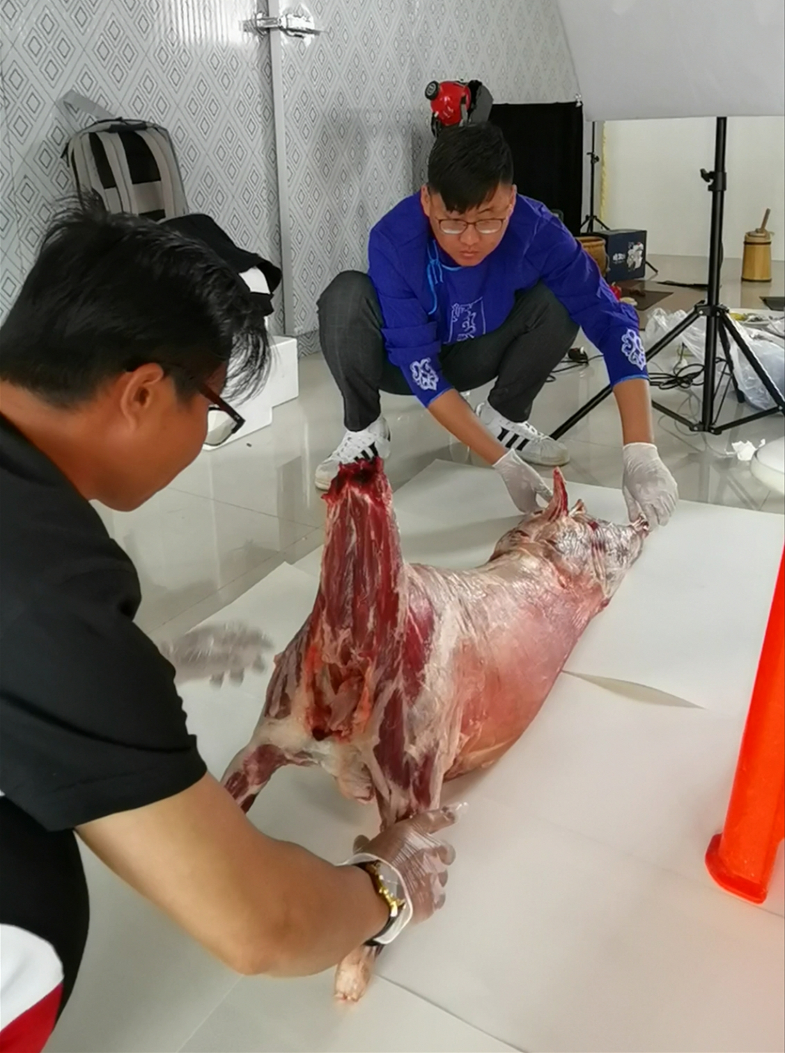 牧区卖羊,内蒙古农村小伙卖羊