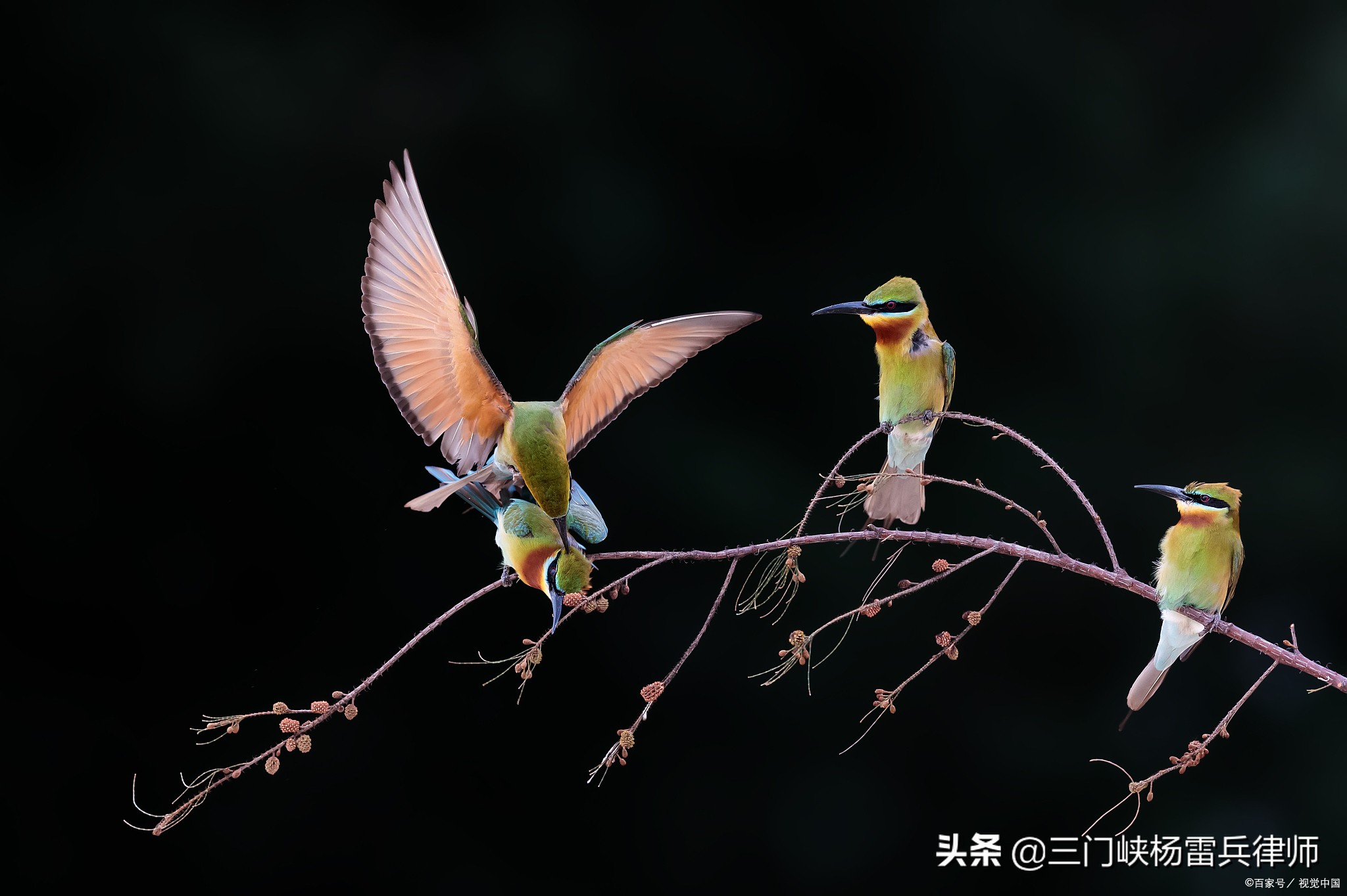 丈夫对妻子发脾气孩子该怎么办,妻子受丈夫家庭暴力找谁能解决