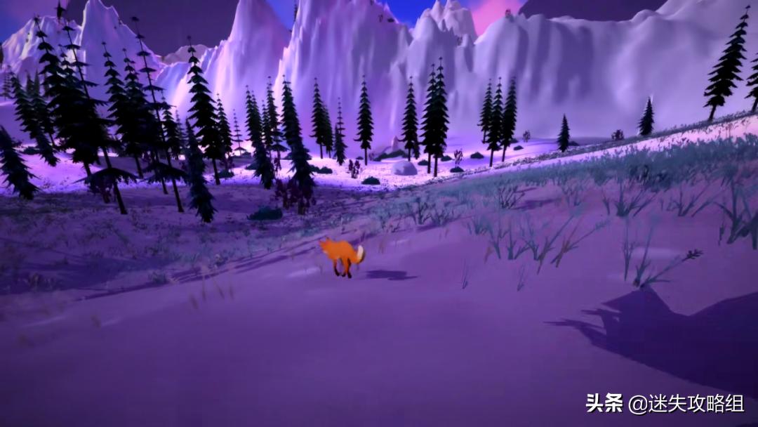 《第一棵树》：最值得留念的，是人生中那些不起眼的瞬间