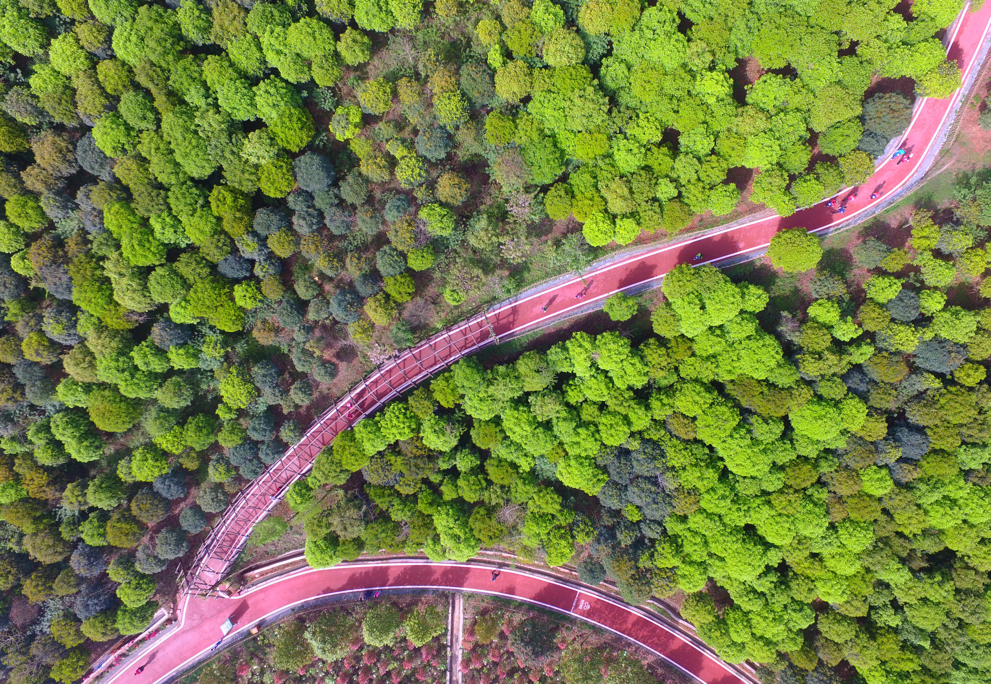 成都周边春季徒步旅游攻略,成都森林徒步旅游攻略