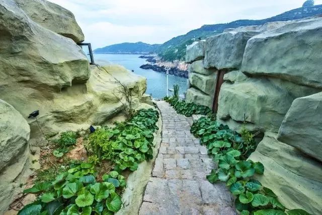 南麂岛黄渔嫂民宿,南麂岛民宿多少钱一晚