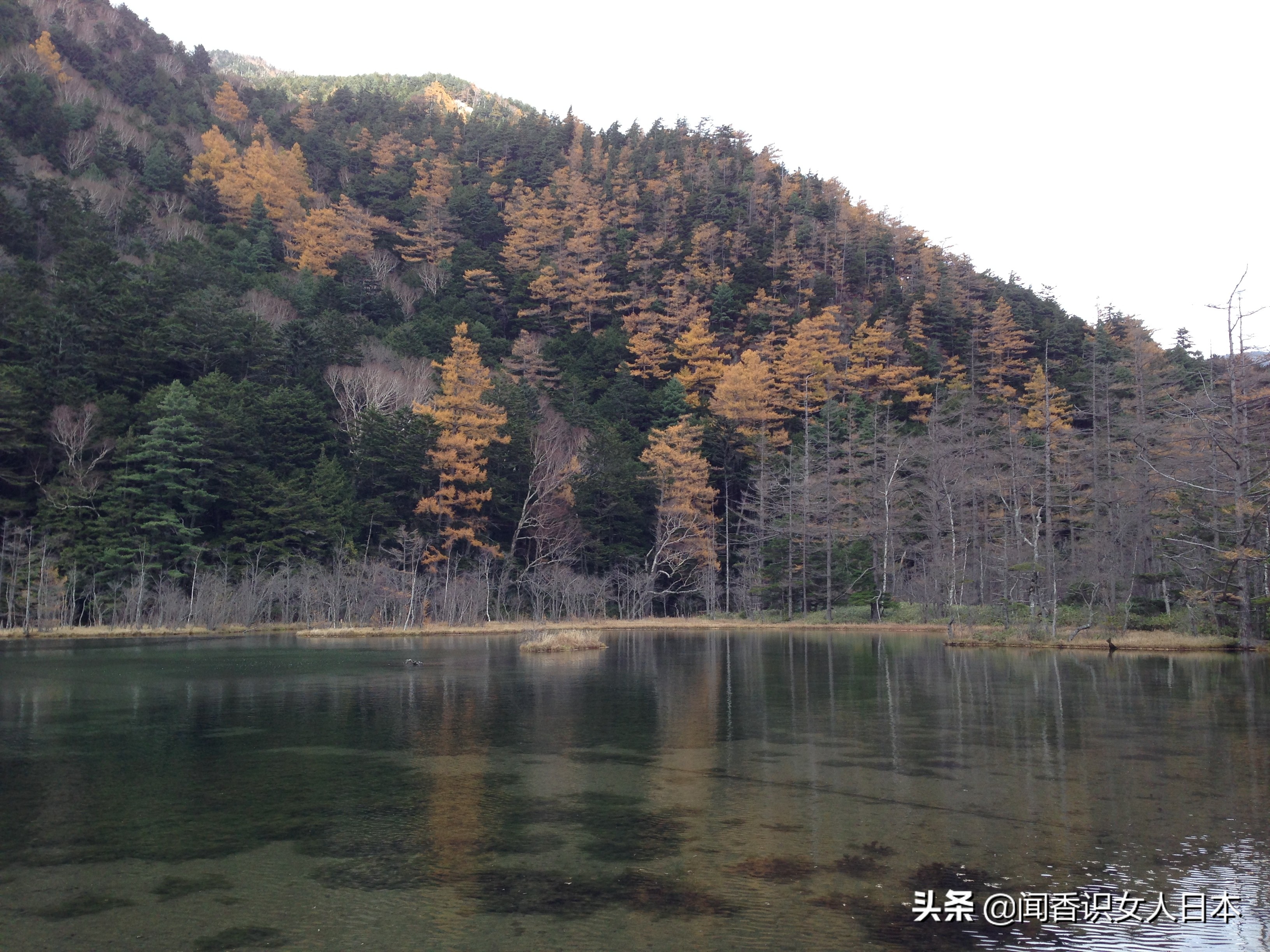 长野好玩的地方,日本长野旅游攻略