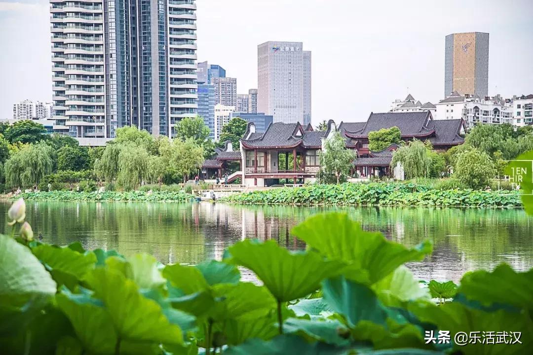 原来武汉有这么多好玩的打卡地,武汉周边新晋7大网红打卡地
