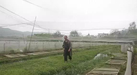 脱贫攻坚|刘尊归：小青蛙蹦出脱贫致富路