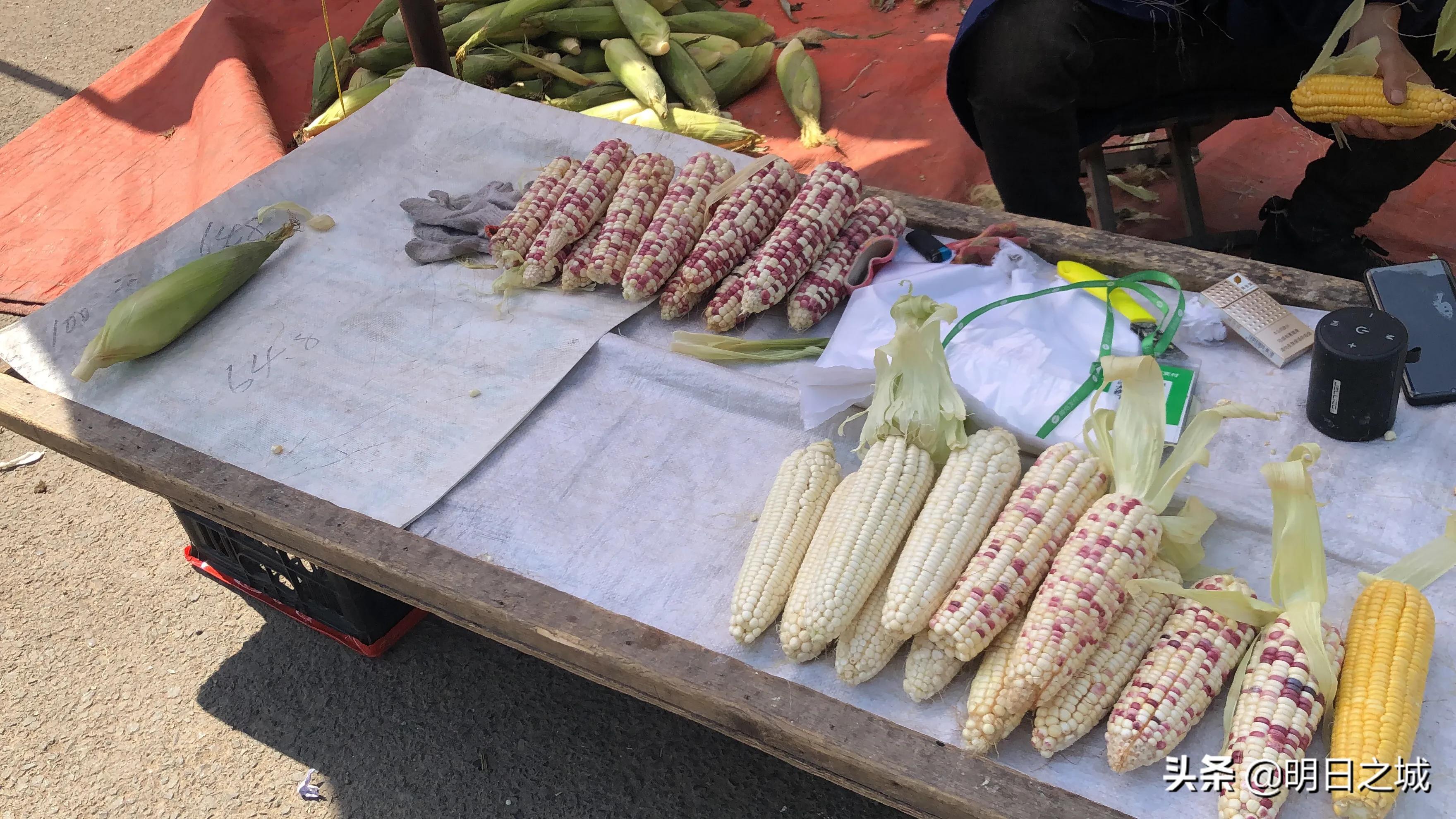 长春早市晚市大集大全2021,长春目前存在的早市