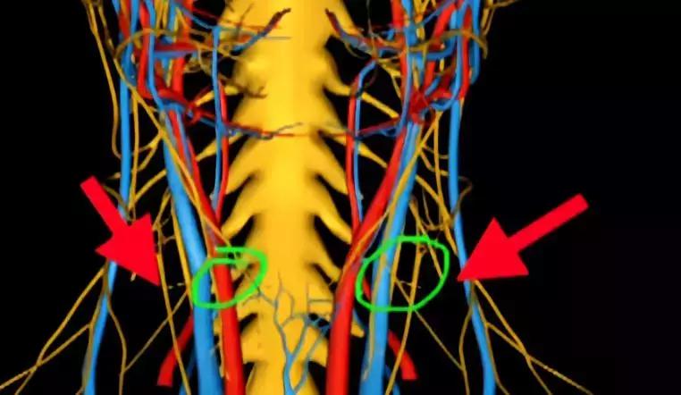 一针治百种病症 (一针治100种病症)