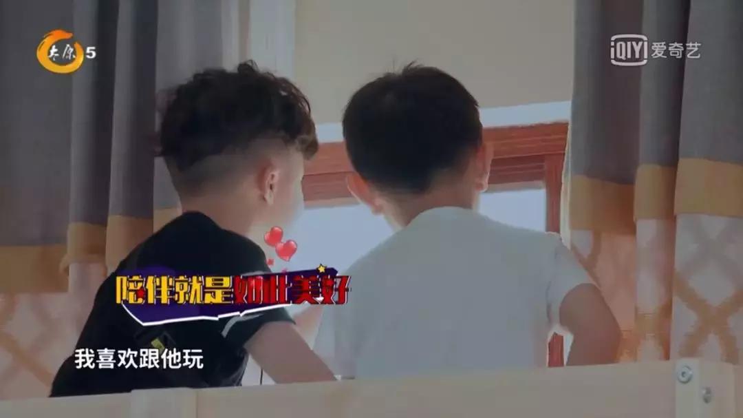 《小骑手!冲啊》|可爱萌娃变身激燃赛车手,成长大戏拉开大幕