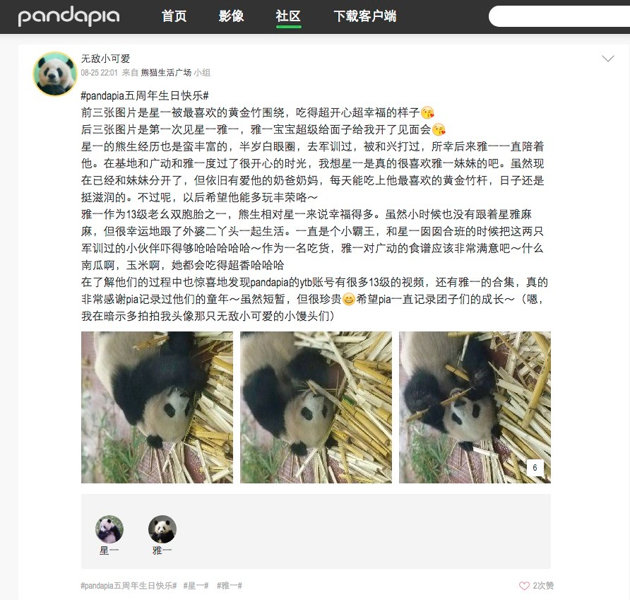 因为你们，“爱豆”的世界离我们不再远咯