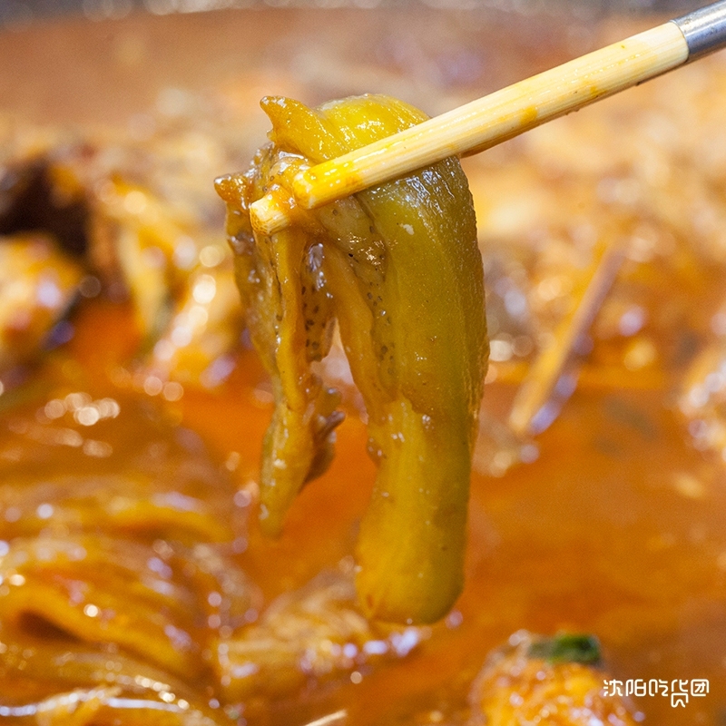 东北的骄傲视频,东北的骄傲有哪些