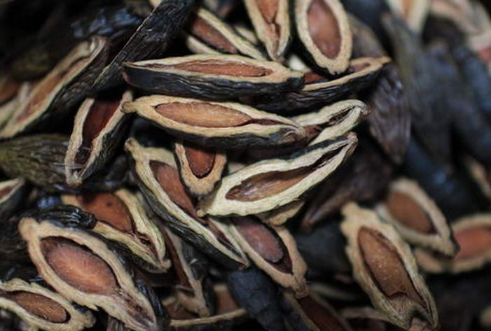 槟榔会对人的口腔造成什么伤害,槟榔为什么会对口腔造成危害