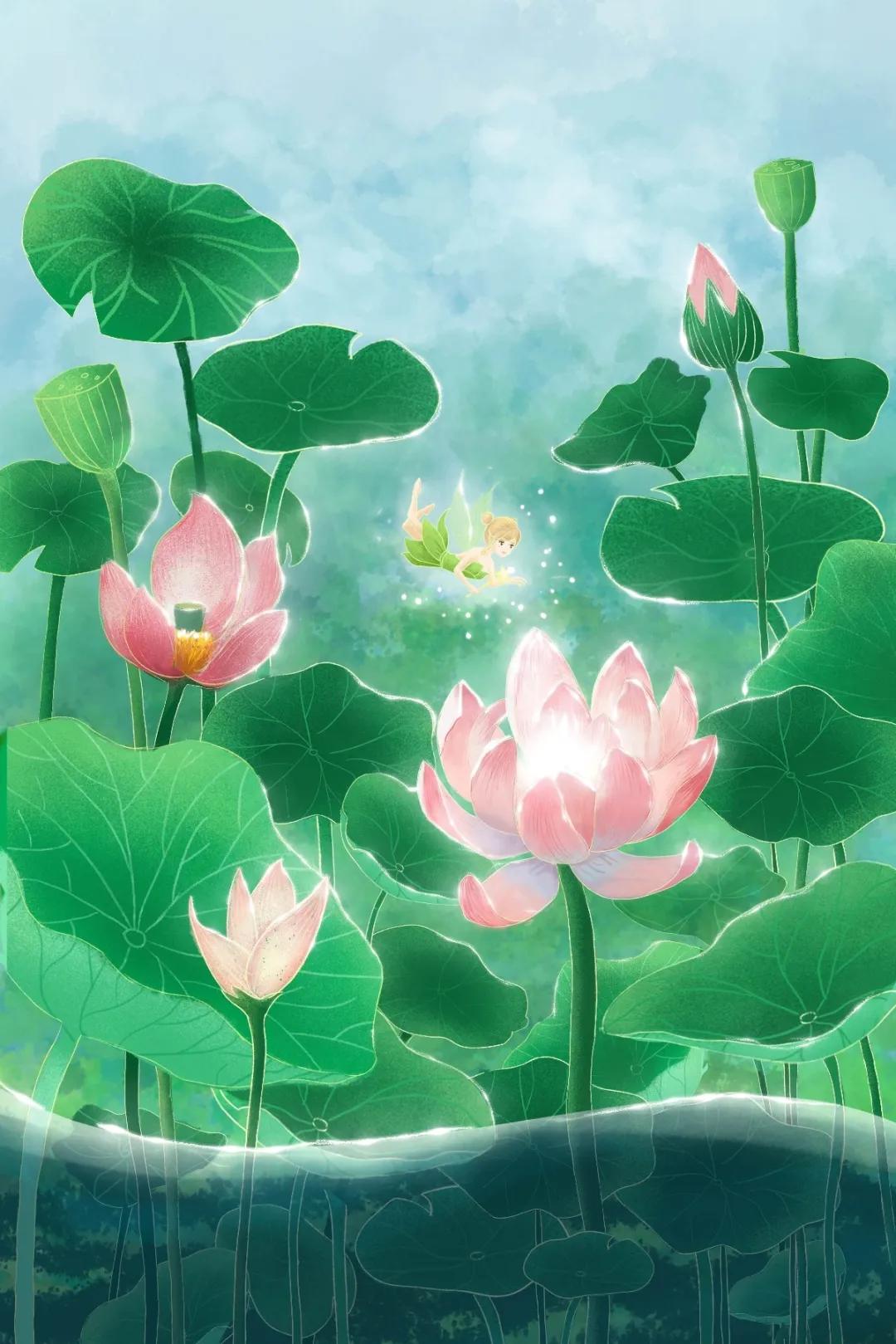 关于荷花的好词好句诗,收集描写赞美荷花的名言佳句