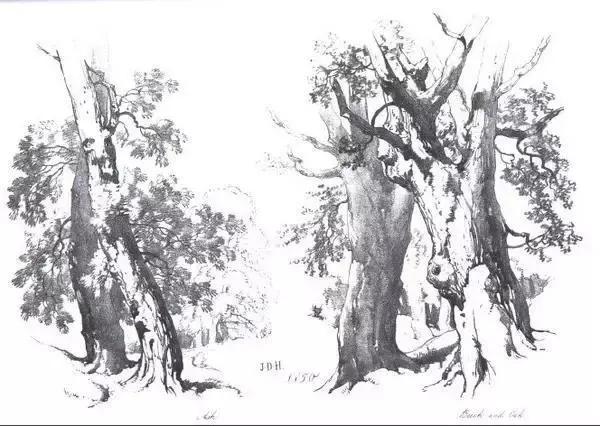 风景速写1000例临摹图高清,炭笔速写风景初学者图片教程