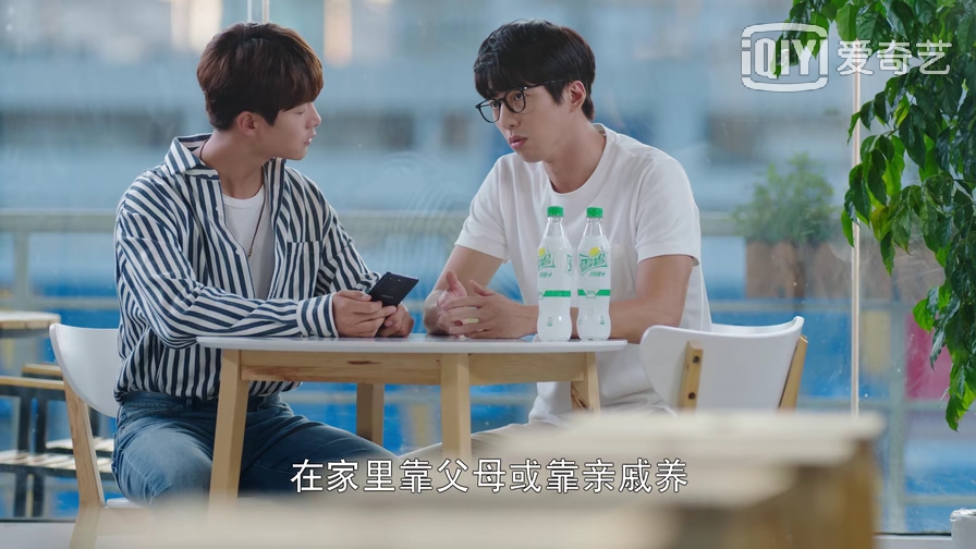 宠物情人日剧甜剧,宠物情人电视剧