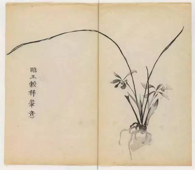 毛笔怎么画兰草,怎么画兰花和书法