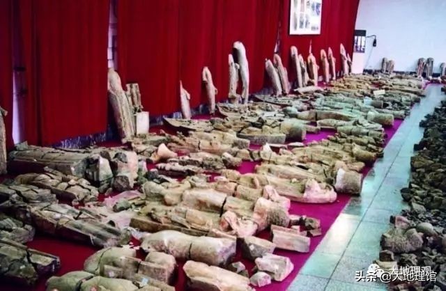 2500年山东城市发展简史