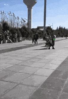 狗狗爆冲乱跑怎么纠正,狗狗见到其他狗爆冲怎么制止