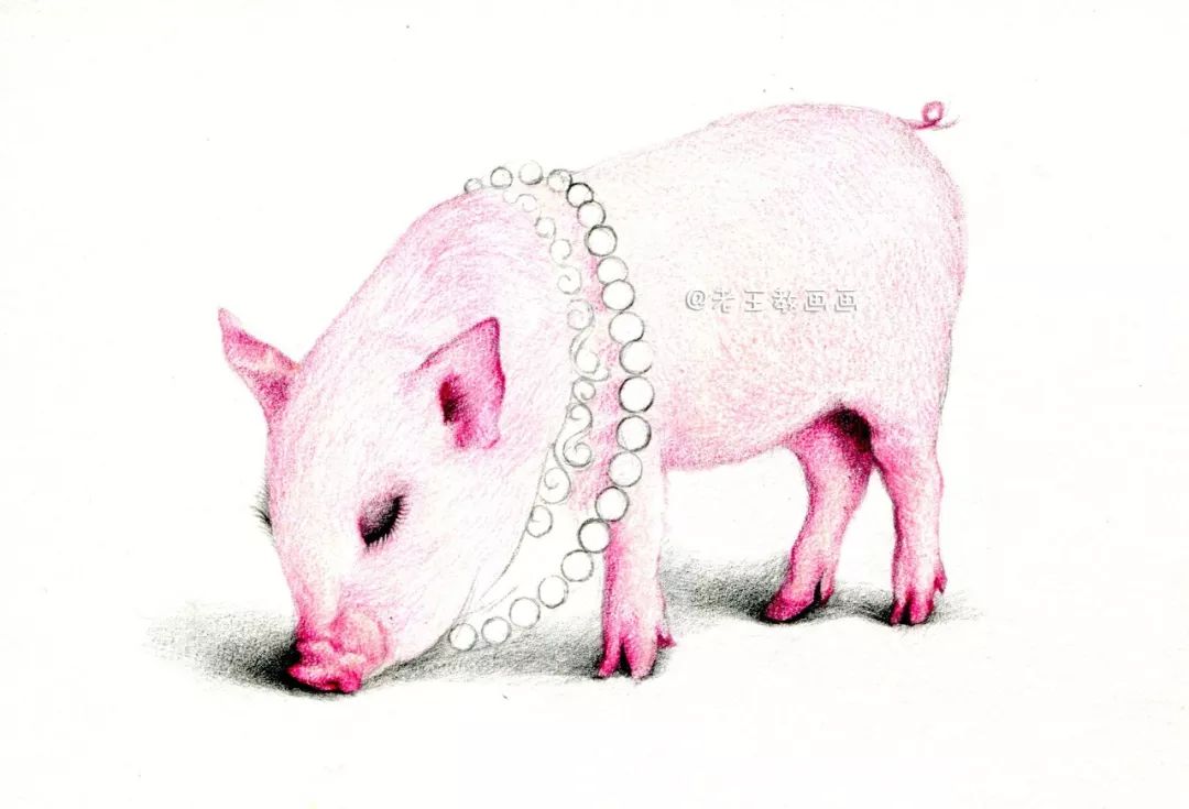 猪年画猪,猪年怎么画
