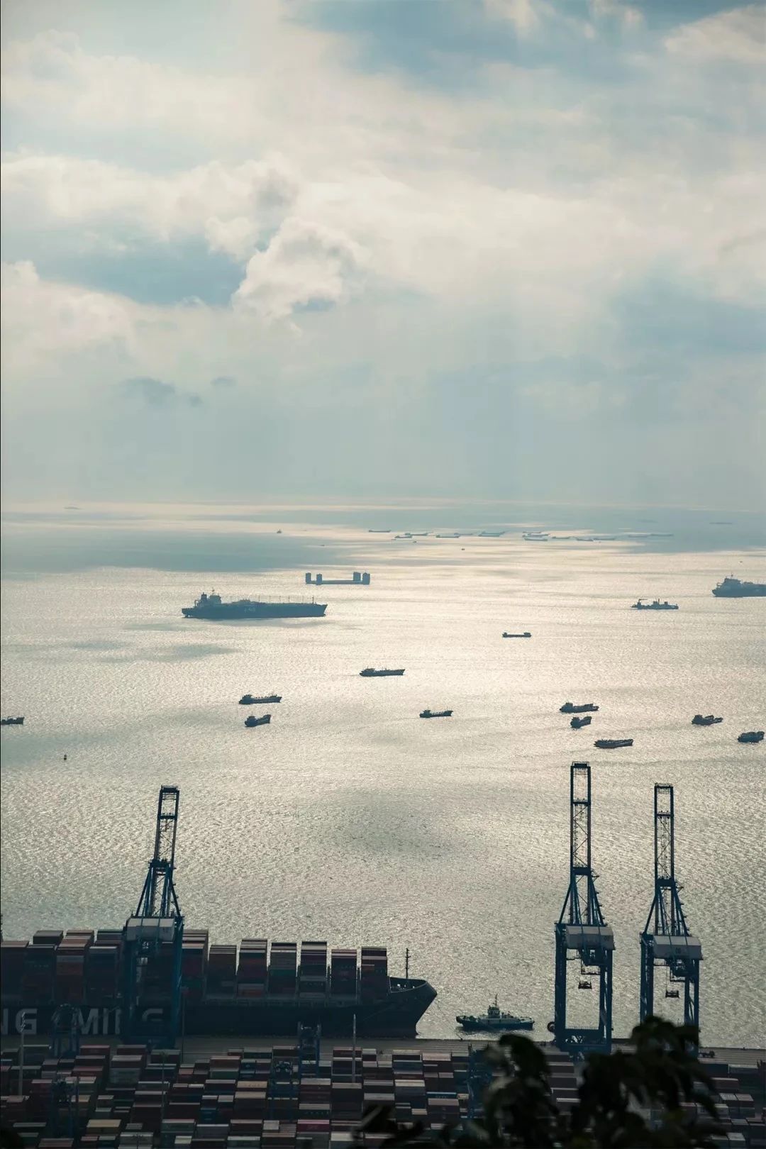 深圳旅游攻略地铁沿线景点,深圳市地铁2号线打卡的24个景点