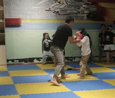 搏击跆拳道散打哪个适合孩子,搏击散打跆拳道学哪个好