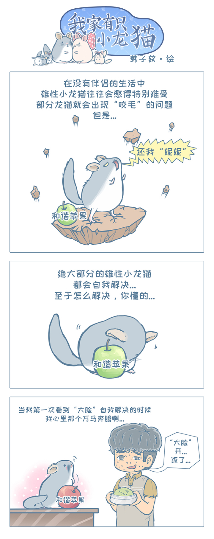 龙猫日常漫画合集,龙猫原创漫画2019