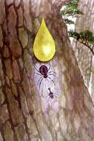 不同年代的小学课文插图,小学课文插图还记得多少