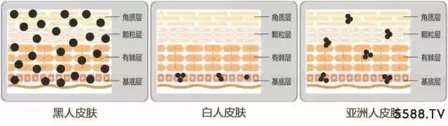 欧美护肤品不适合亚洲人,欧美护肤品和韩妆哪个适合亚洲人