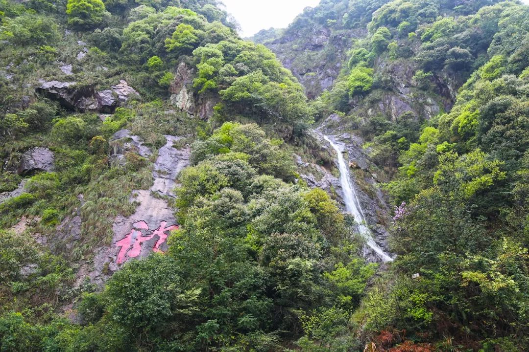 宁波避暑耍水胜地,宁波森林氧吧景区