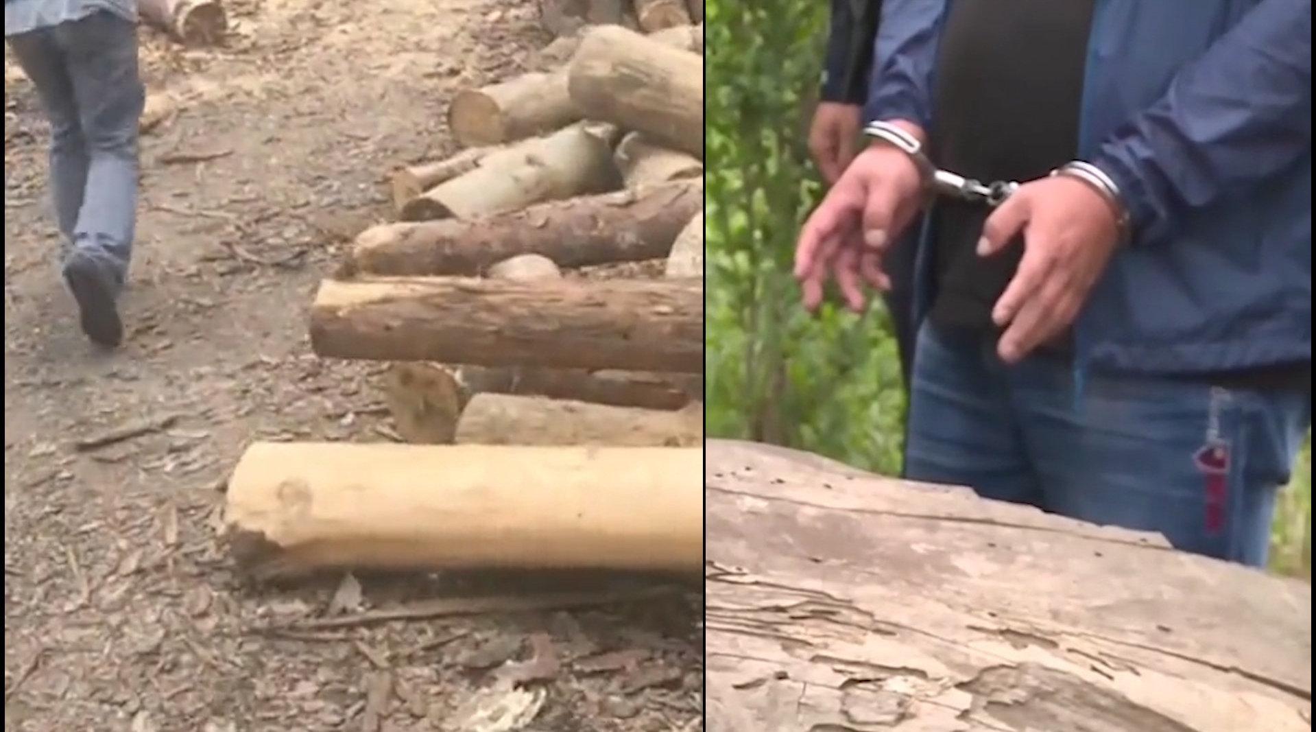 张献忠沉银被老百姓捞走多少,四川张献忠沉银的岷江还有宝藏吗