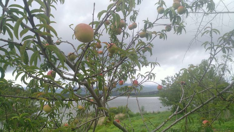 昆明周边露营野钓最佳地方,昆明周边风景优美的野钓地方