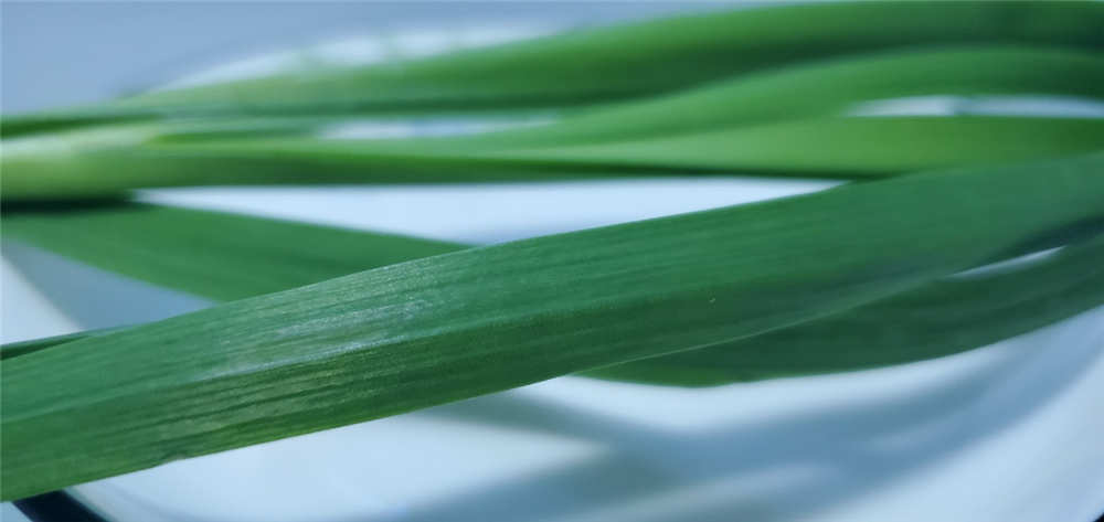 美的471L冰箱测评,美的541冰箱是双循环吗