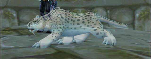 怀旧魔兽60,魔兽60年代回忆