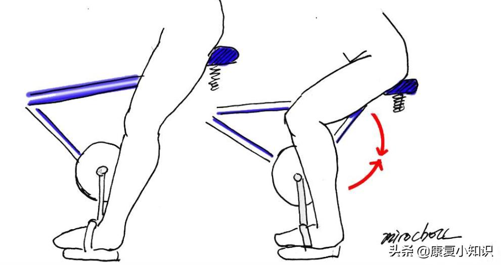 大腿后侧疼痛怎么拉伸,大腿后侧疼痛怎么办吃什么药