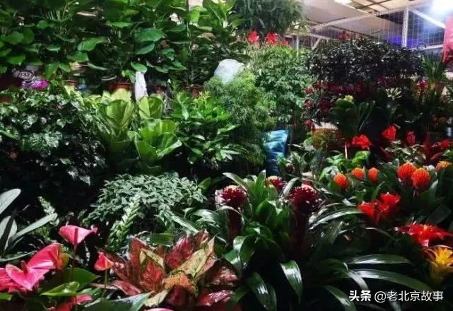 官园拆迁安置房,官园拆迁安置房拿房时间