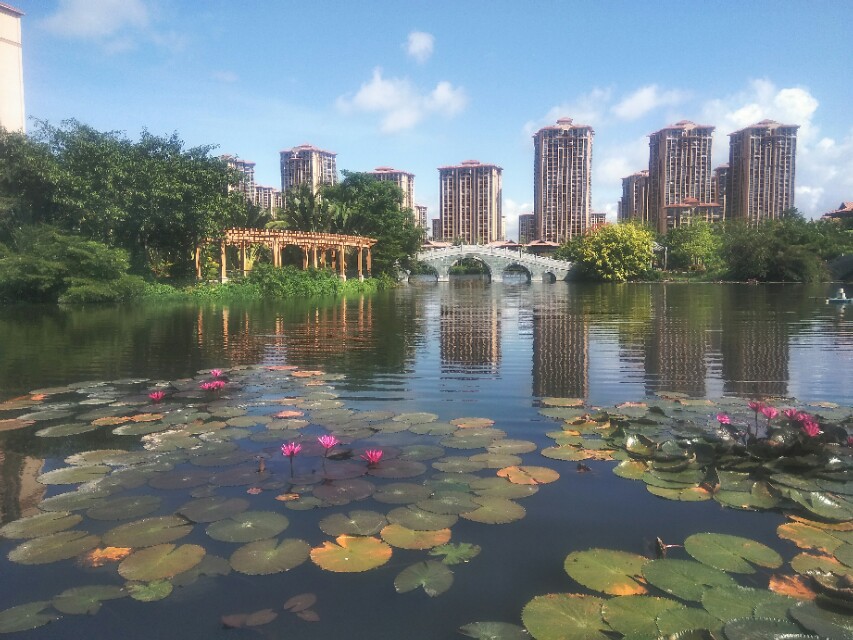 房地产开发项目融资的运营方式,房地产融资计划时间表