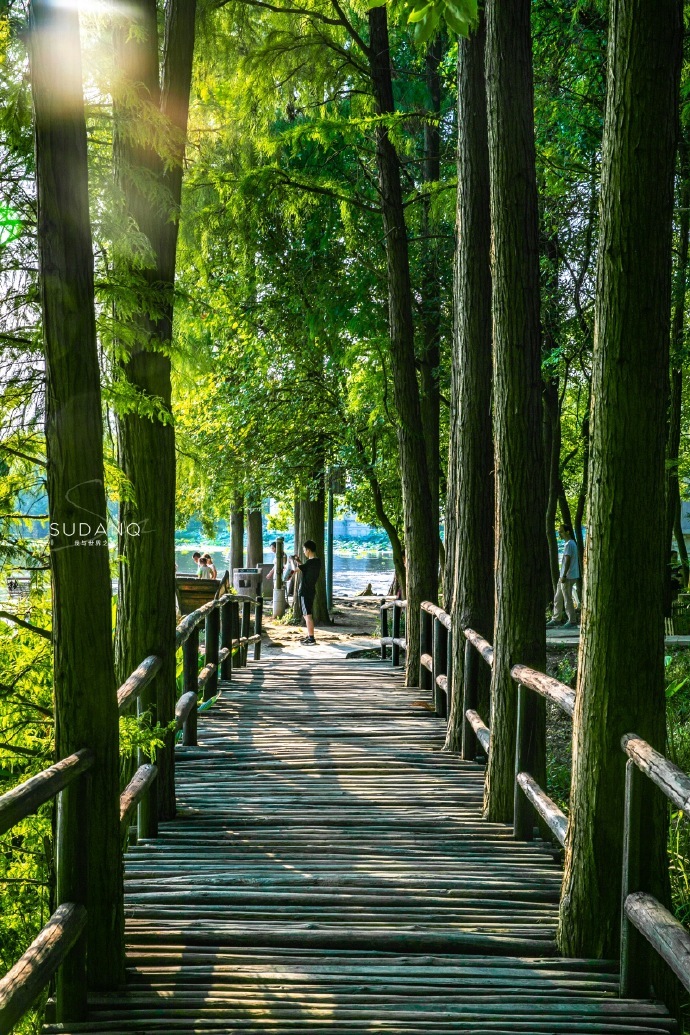 武汉著名的风景有黄鹤楼还有什么,武汉除了黄鹤楼还有哪些地方