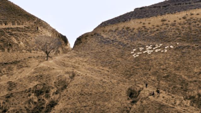 他到西北跟拍5个中国爷们3年：这片土地决定了人们为什么要唱歌