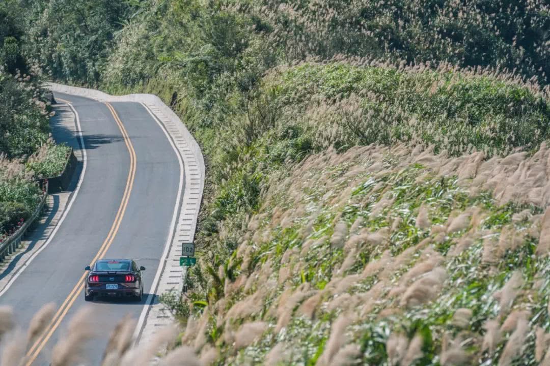 台湾音乐打卡地：从黑胶店到Livehouse