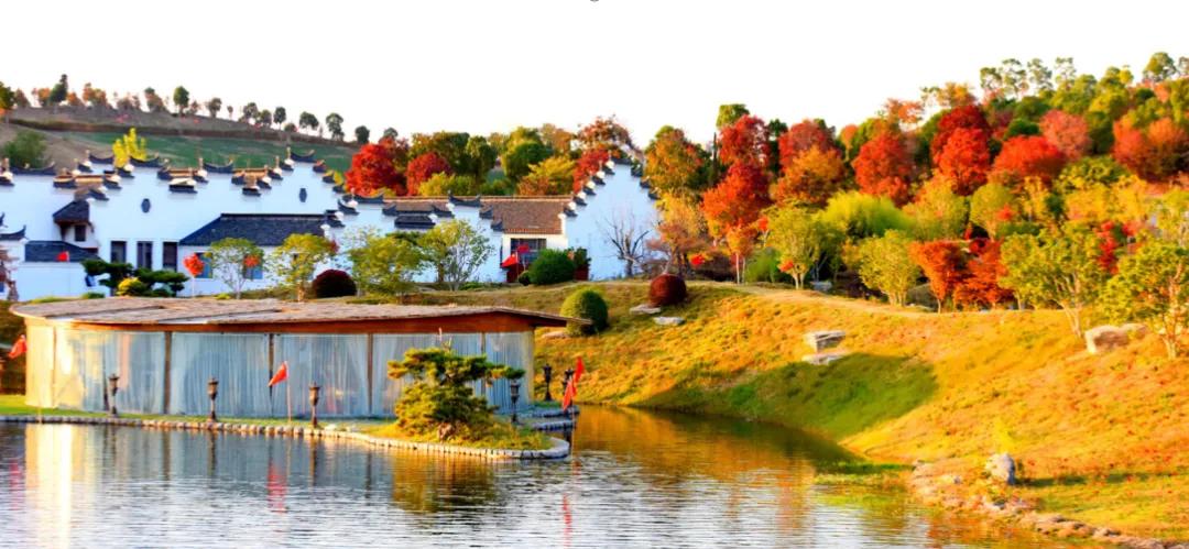 蚌埠城南新建不夜城,引爆旅游市场